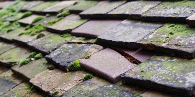 Kelvedon roof repair costs